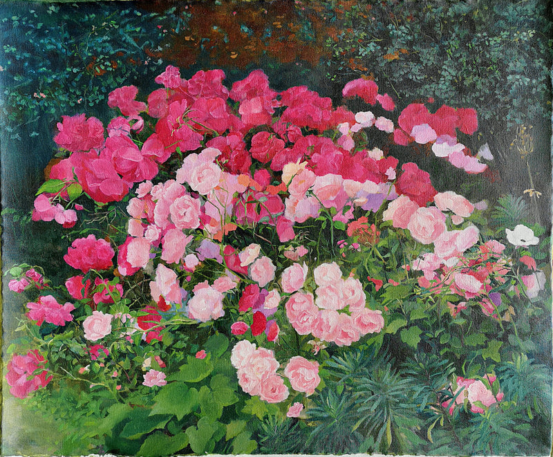Pink Roses